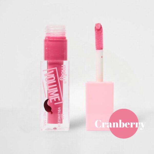 Lacquer/Lip Gloss Voluminizador Moisture - MELY - Image 4